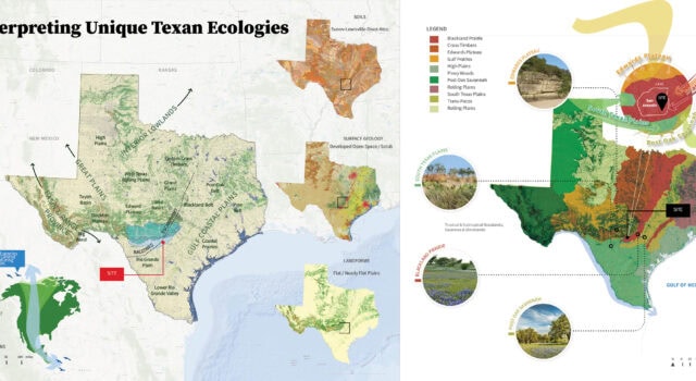 Located on the Balcones Escarpment, Arboretum San Antonio is at a crossroads of four major Texan ecoregions, creating a biodiversity hotspot and an opportune place to interpret Texan ecologies to the public.