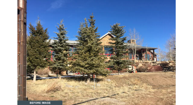 Prior to intervention, the landscape suffered from ecological neglect. Failing turf, invasive spruce trees, and poor grading disrupted views and created wildfire risk—offering no meaningful relationship between the home, its setting, or surrounding systems.