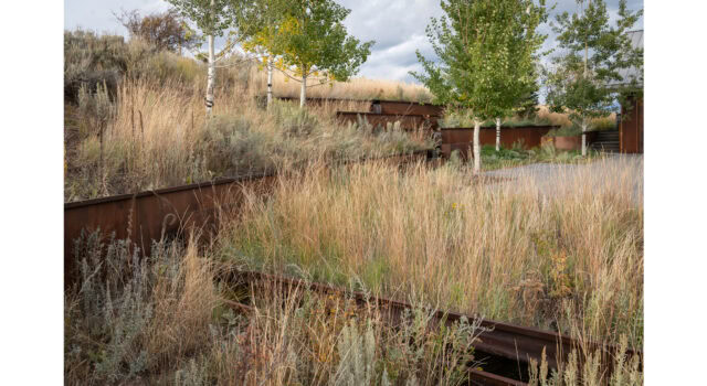 Reimagined architecture opens to a sculptural hillside. A corten steel runnel—a nod to Colorado’s mining heritage—slices through native planting and defines the entry sequence, transforming a once-overlooked slope into a visual and experiential centerpiece.