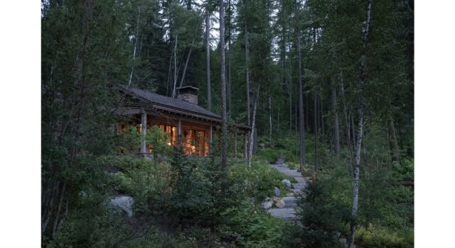 Degraded areas are restored with native flora layers, rejuvenating forest ecology, fostering habitat, preventing erosion, and enhancing scenic value.