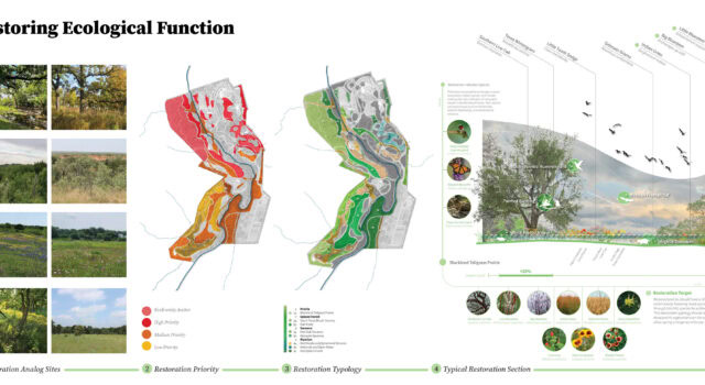 Ecological restoration is central to the Arboretum’s mission, guiding design and stewardship. By mapping remnant habitats and species across its diverse landscapes, the team created a long-term management plan that supports biodiversity, community science, and culturally rooted restoration practices.