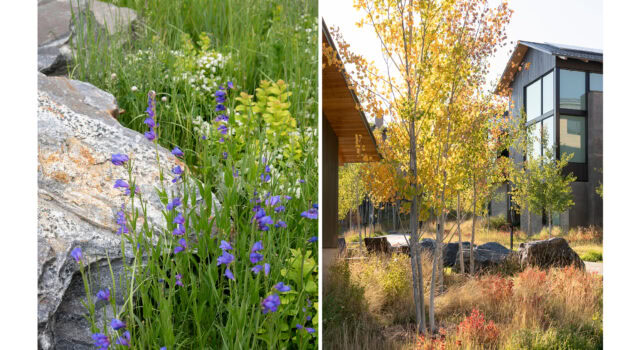 The site is unified by high alpine plantings selected for soil moisture retention and adaptability to the harsh environmental conditions at 8,000’. 