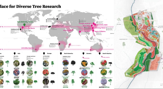 Once completed, the Arboretum will feature over 500 native and adapted tree species, with collections that highlight climate-resilient trees and celebrate San Antonio’s sister cities through culturally and ecologically significant specimens.