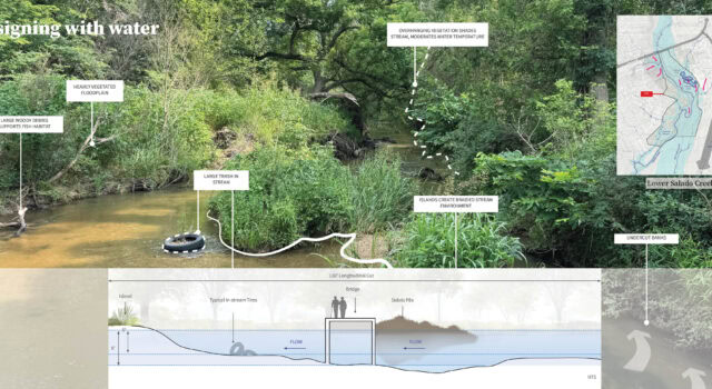 Located on 1.5 miles of the Salado Creek, over 80% of the Arboretum lies within the 500-year floodplain, creating diverse riparian habitats. Design of the Arboretum includes stream restoration measures to address bank erosion, sedimentation, and debris management.