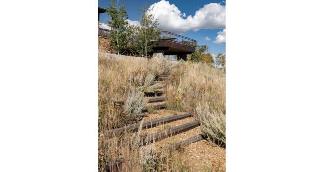 A steel and basalt stair descends through the hillside, landing in quiet spaces shaped for reflection and use. Native planting softens the slope, restoring function and grounding movement in ecological rhythm.